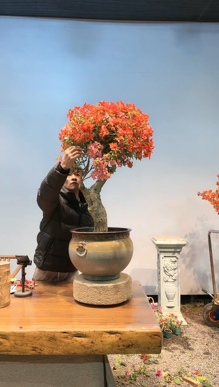 【闪购商品】aa932