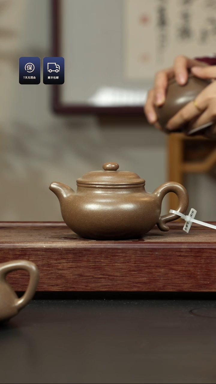 【闪购商品】紫砂茶壶鲨皮青 香槟金色仿古