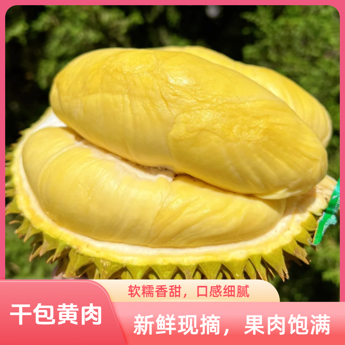 （2号称）一物一拍【新号福利专属】金枕榴莲新鲜树熟KG核小肉厚榴莲同城送金枕泰国