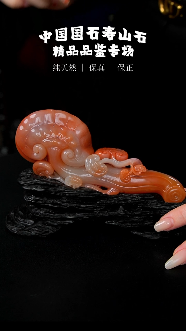 【闪购商品】寿山石水洞朱沙石