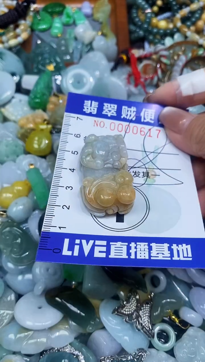 【闪购商品】翡翠颈饰未镶嵌闪购0000617