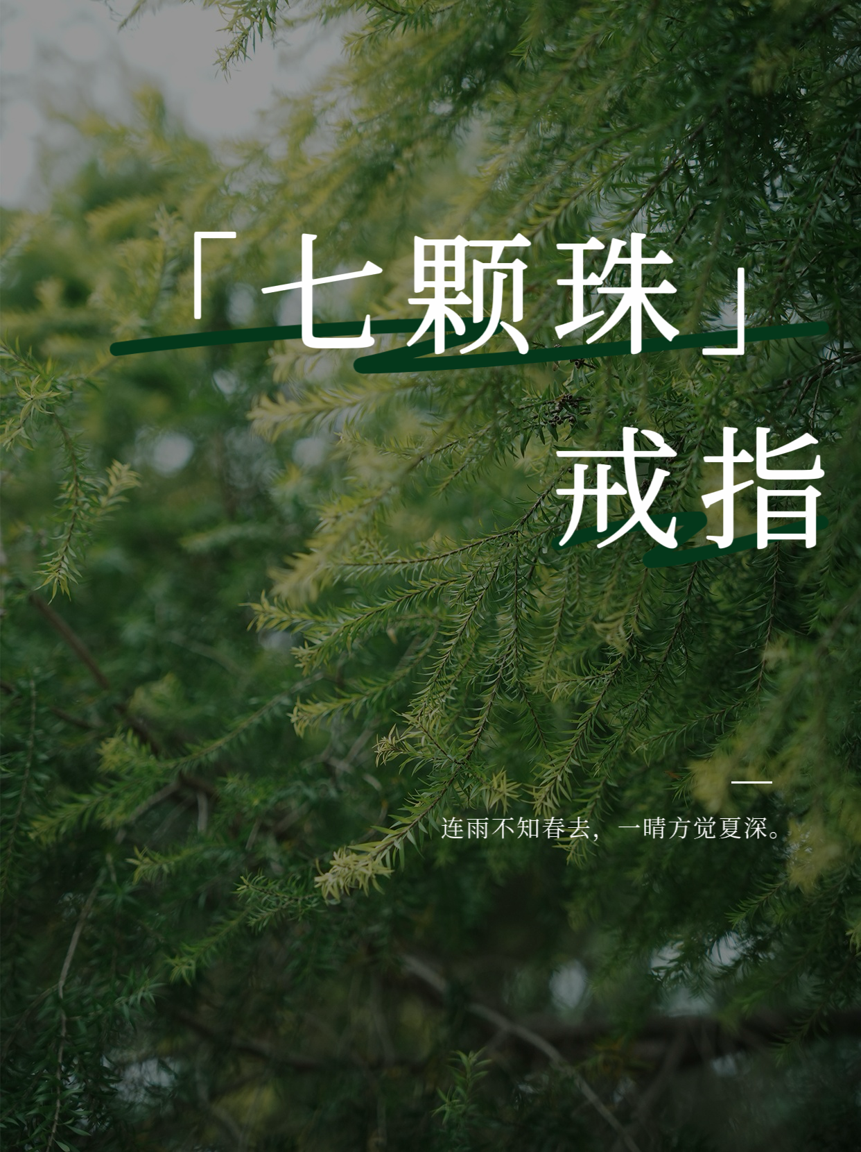 非金属玻璃戒指 原创设计款小众复古高级感简约戒指气质ins