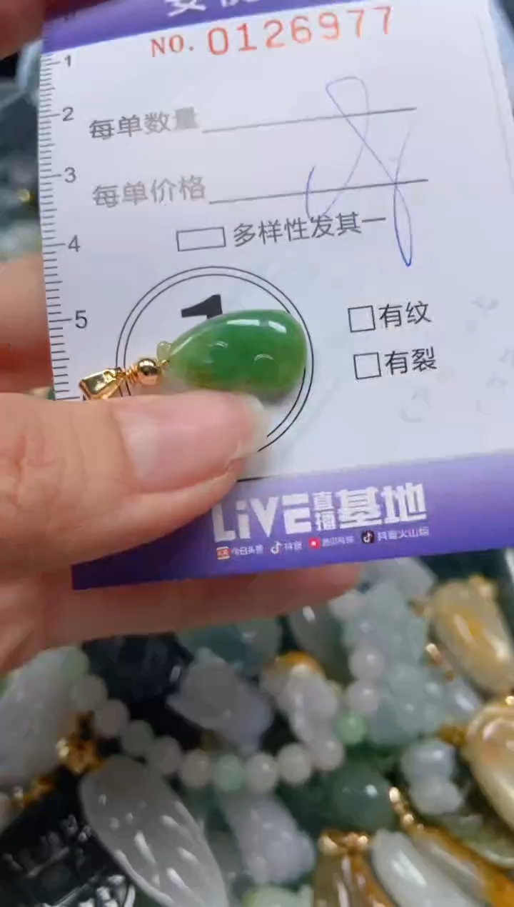 【闪购商品】翡翠颈饰未镶嵌闪购0126977