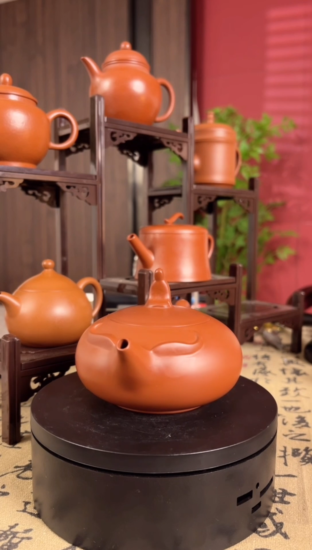 章思琳-牧童-120cc