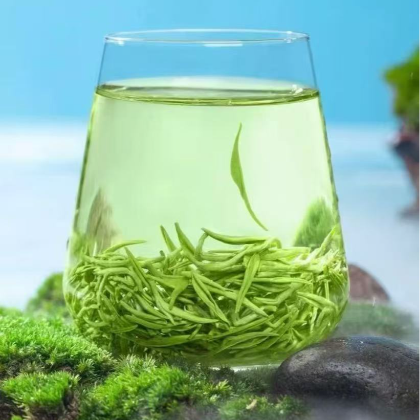 【买半斤送半斤】毛尖绿茶新茶毛尖茶浓香毛尖茶叶嫩芽
