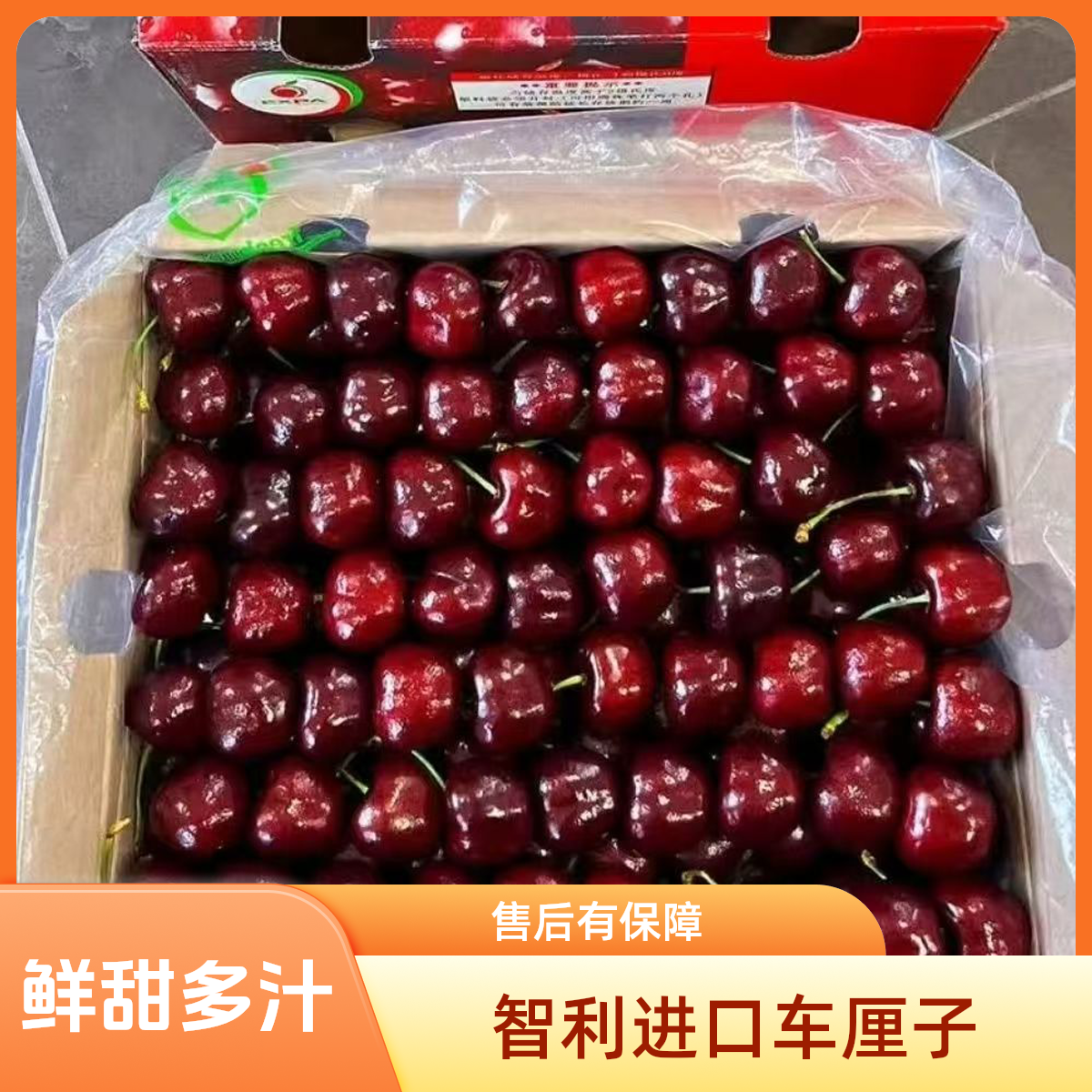 新鲜现货智利吉制桑提娜2JD 1500g-2500g海运车厘子大樱桃应季水果礼盒装内附果径卡桑提娜樱桃智利共和国