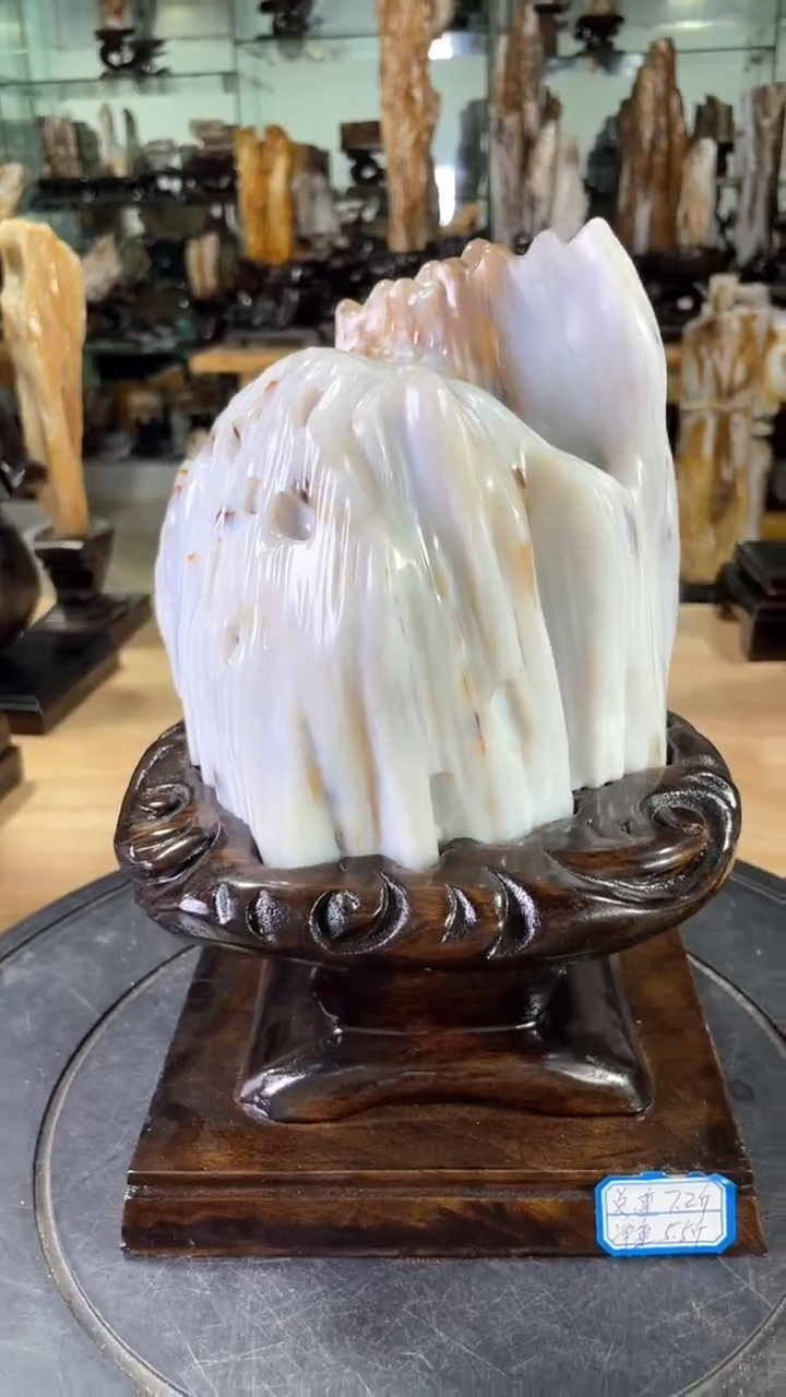 【闪购商品】硅化玉珠宝奇石未镶嵌428