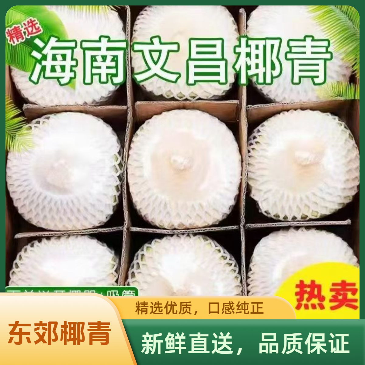 海南文昌东郊新鲜削皮椰青9个装天然口感饮品适合孕妇坏果包赔