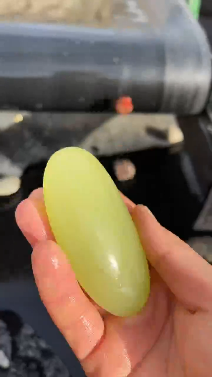 颈饰未镶嵌和田玉（糖玉）0032