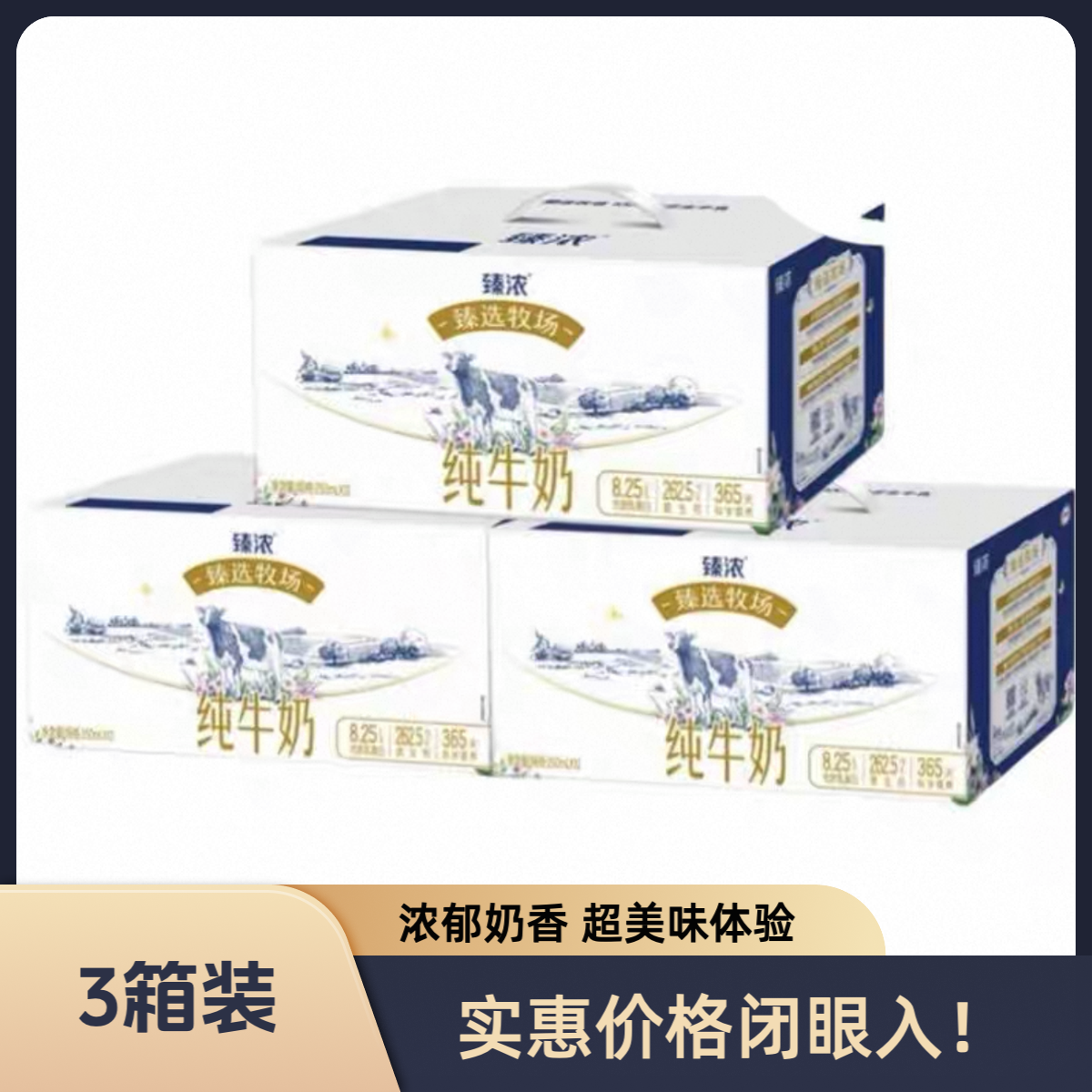 【3箱特惠装 9月新货】伊利臻浓臻选牧场纯牛奶250ml*12/箱+赠3个节日手提袋