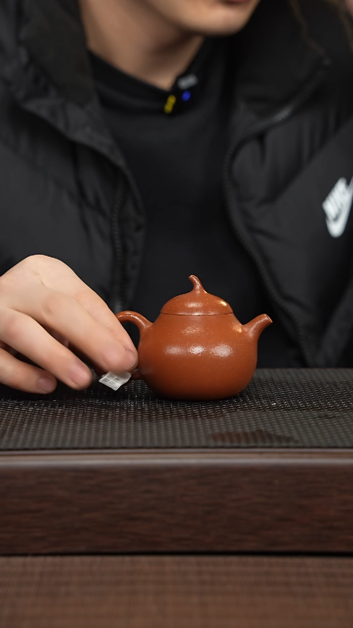 【闪购商品】紫砂茶壶源头精品手工作品30217