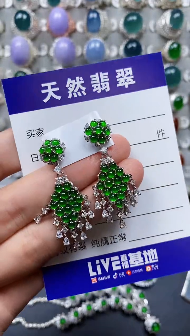 【闪购商品】翡翠耳饰银S925镶嵌0345