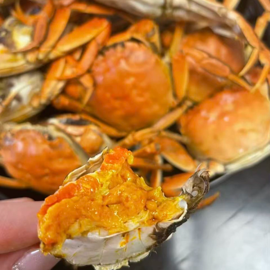 【活蟹】河蟹 10只全母蟹 1.5-1.8两顺丰川渝包邮.不绑腿