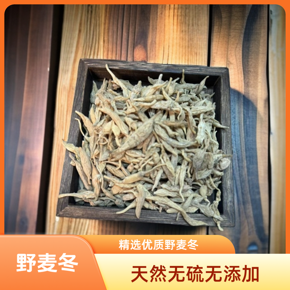 深山采挖野麦冬百搭食材养生必备
