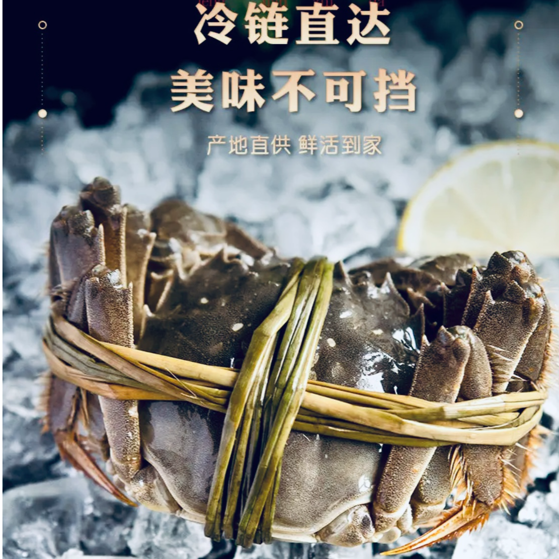 【活蟹】江苏精品鲜活大河蟹公2.6-2.3两 母2.0-1.7两送2只共12只装