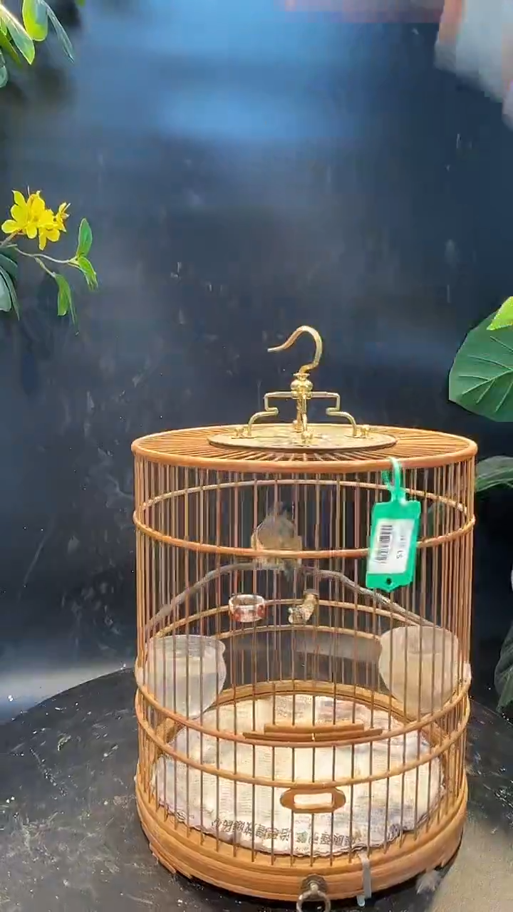 35号山岚养笼0元起拍