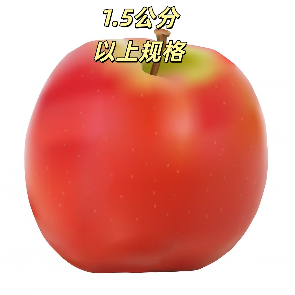 1.5公分规格苹果树苗嫁接脱毒耐寒抗寒基地直发脆甜大果多汁苹果