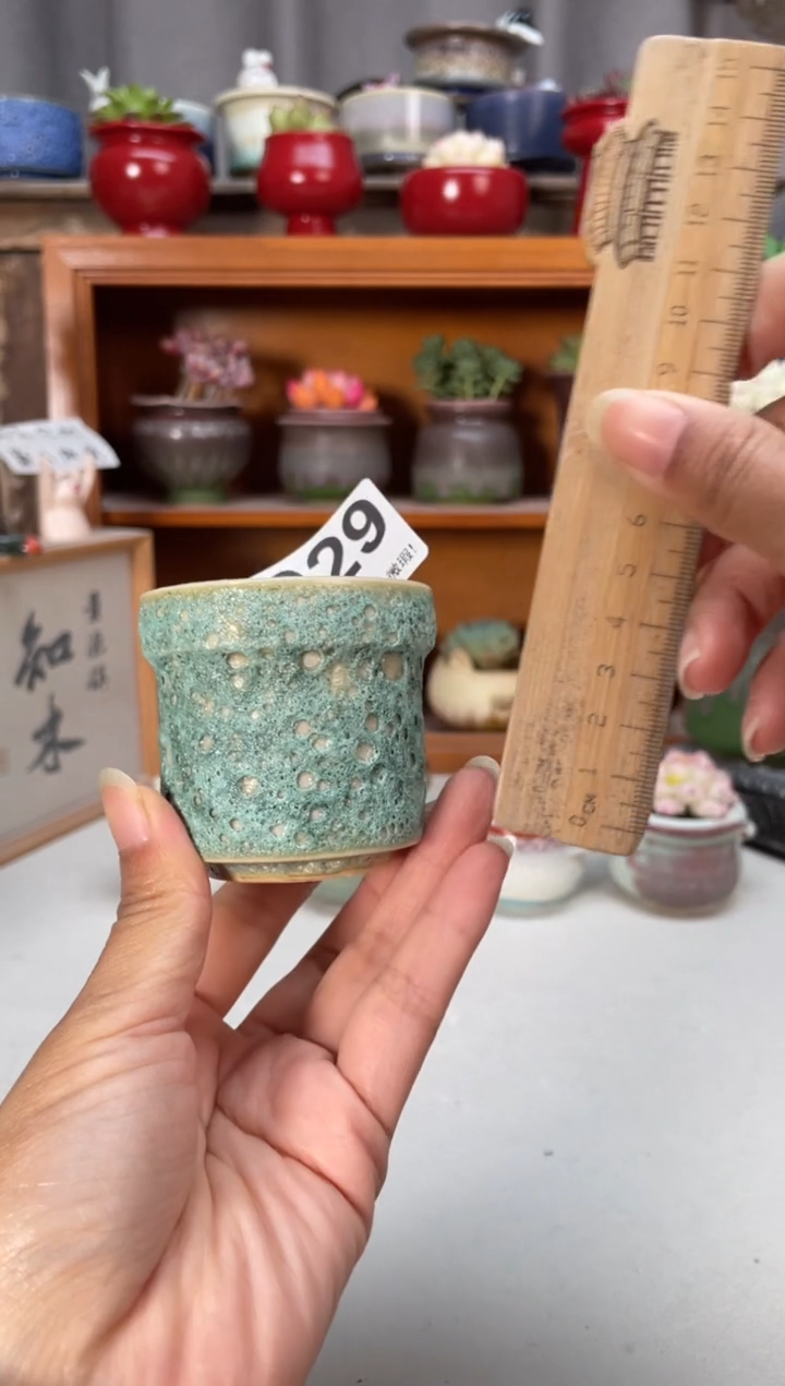 瓷片029知木小芳花盆