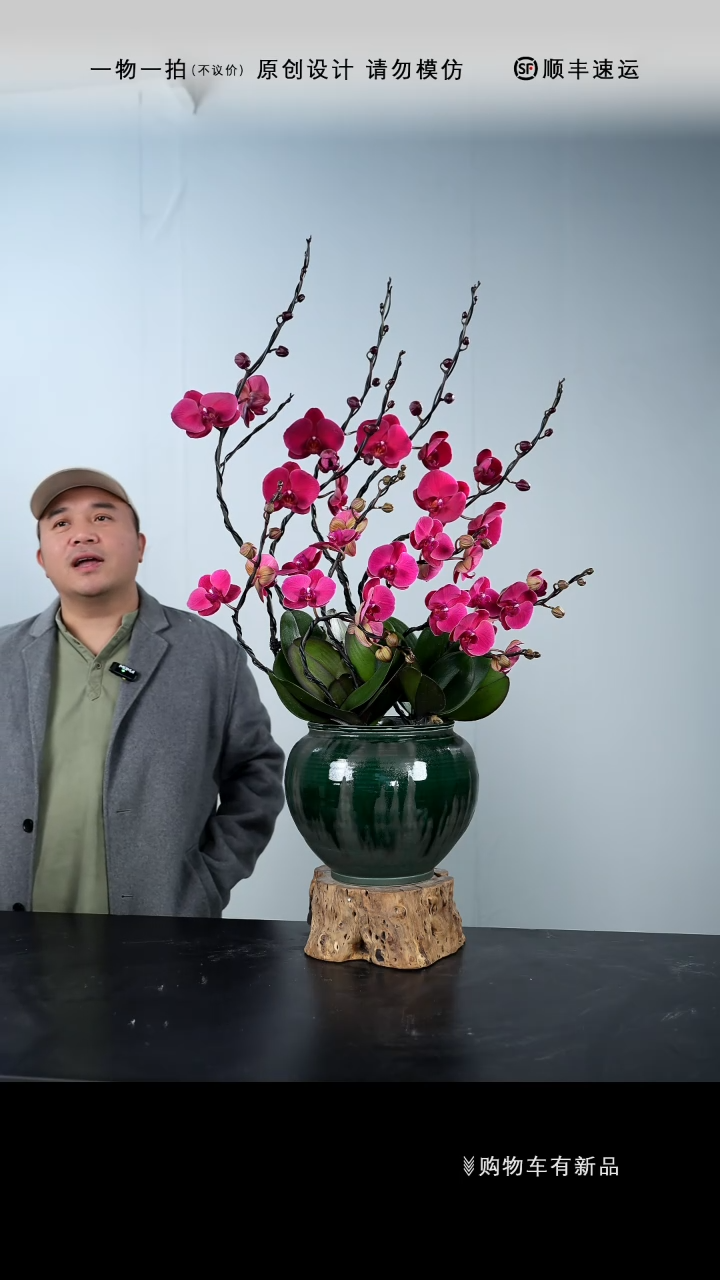 【闪购商品】060号链接【一物一拍】艺术盆景