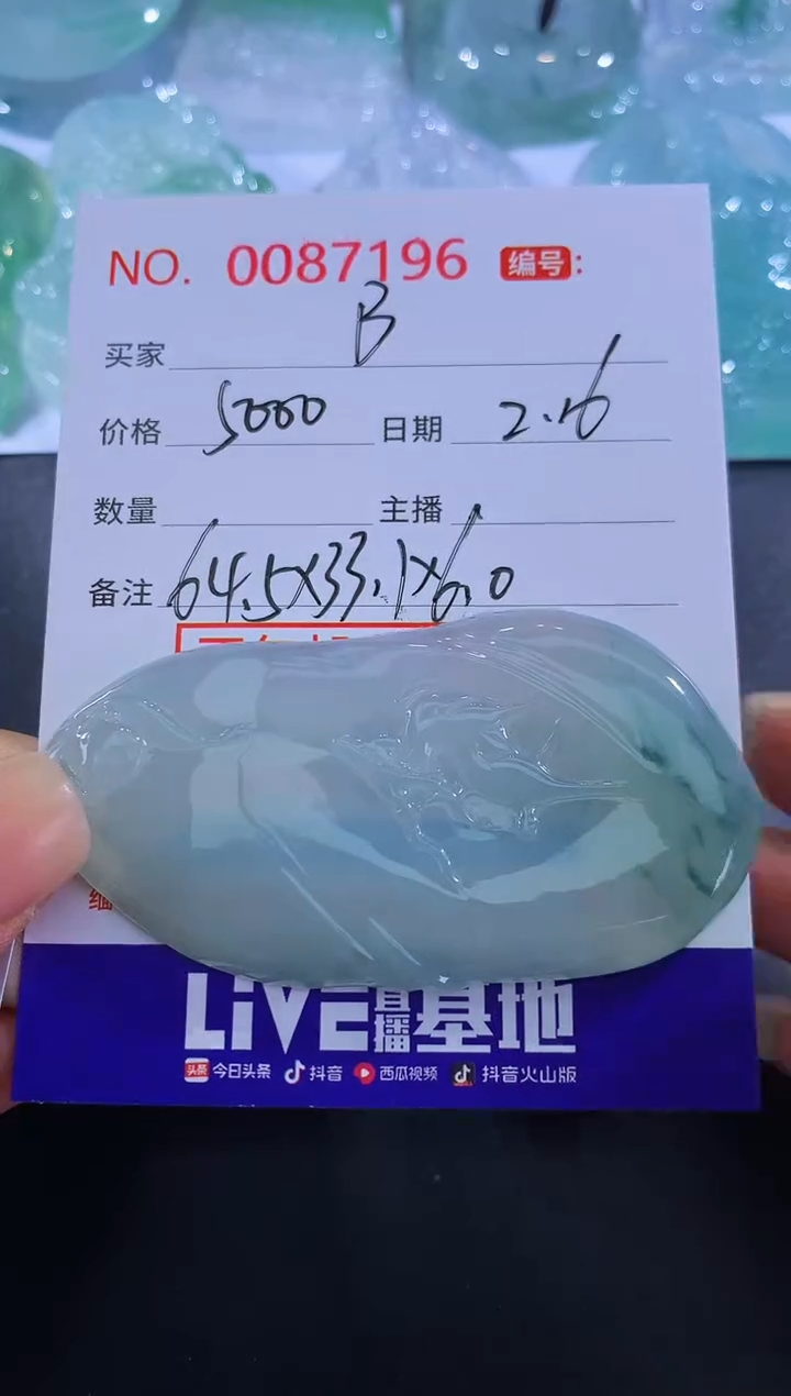 【闪购商品】翡翠颈饰未镶嵌！B