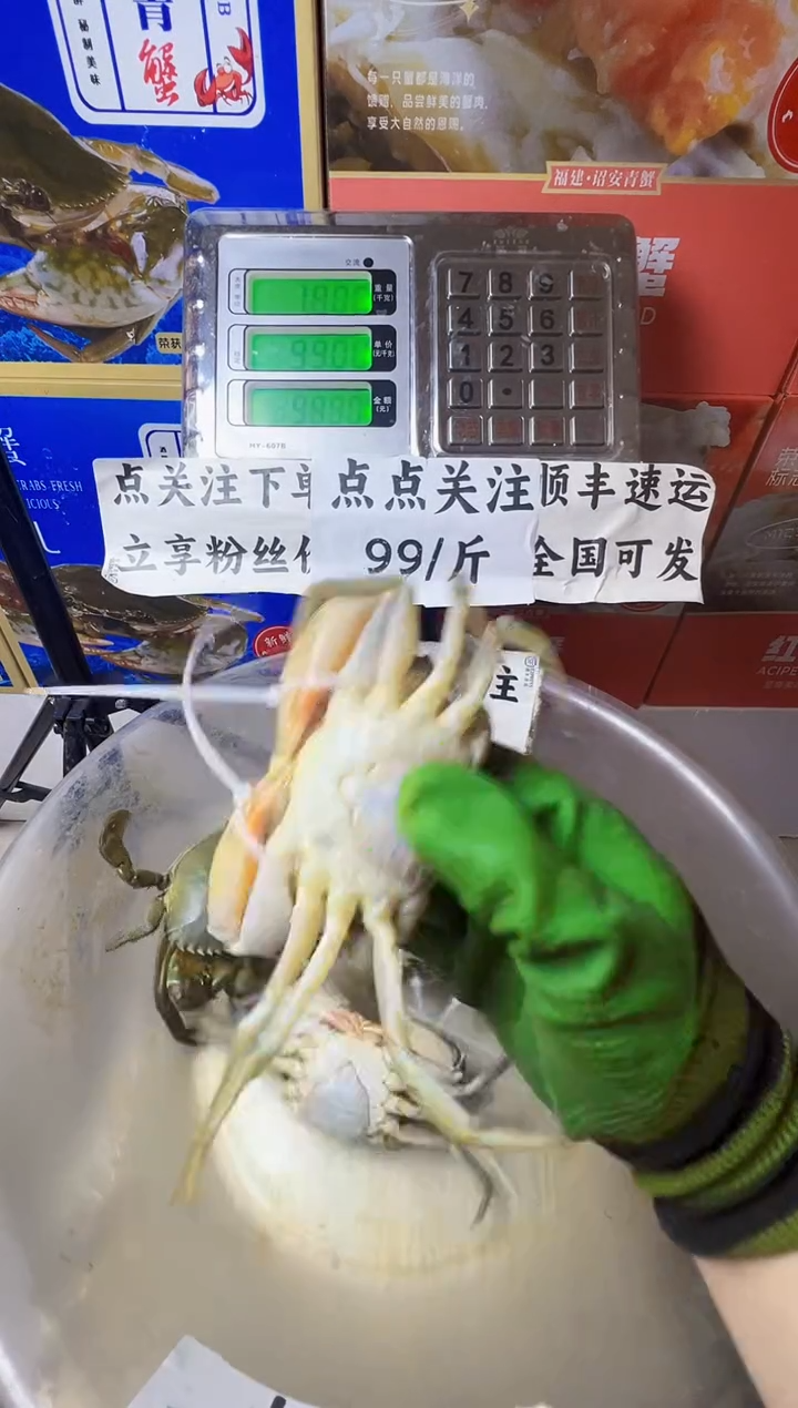 中国大陆福建漳州青蟹