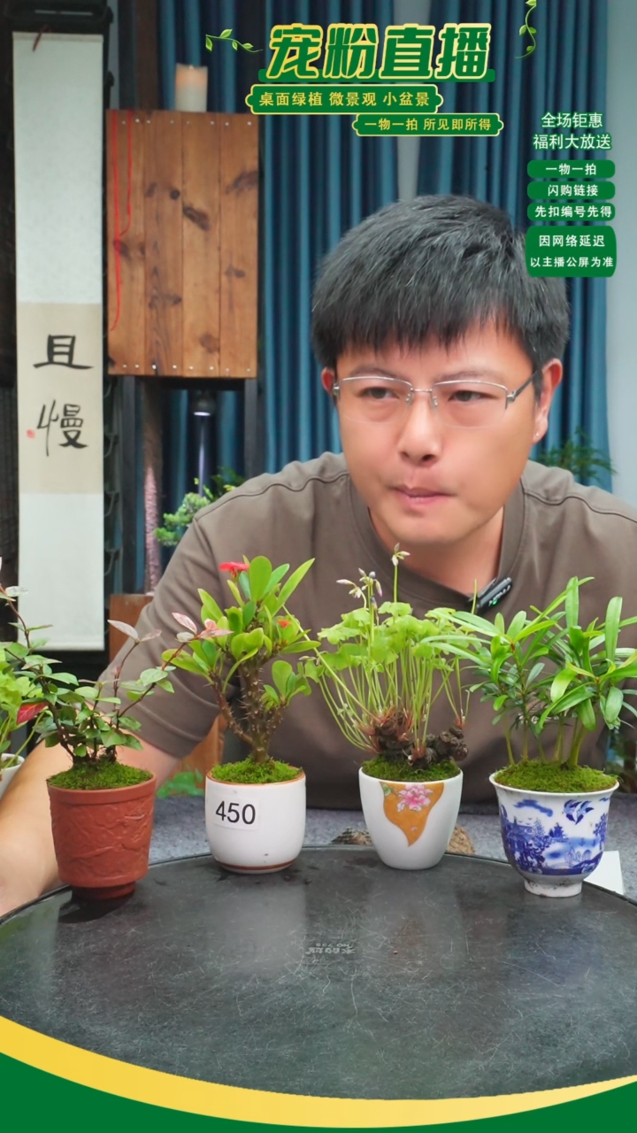 无花朵姚*姚苔藓微景观450号