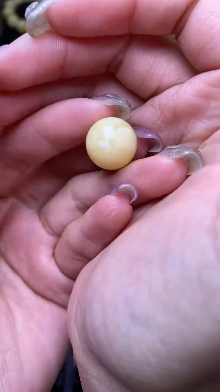 【闪购商品】琥珀裸石未镶嵌葵. 67