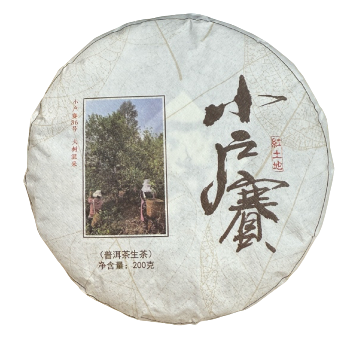*2023【小户赛.红土地.春.混采】普洱生茶饼茶200克-11月14日【05】