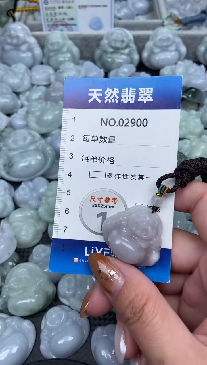 颈饰未镶嵌翡翠纯天然A货翡翠2900