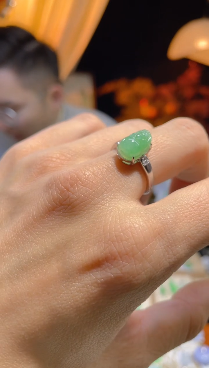 【闪购商品】翡翠颈饰未镶嵌假一赔三