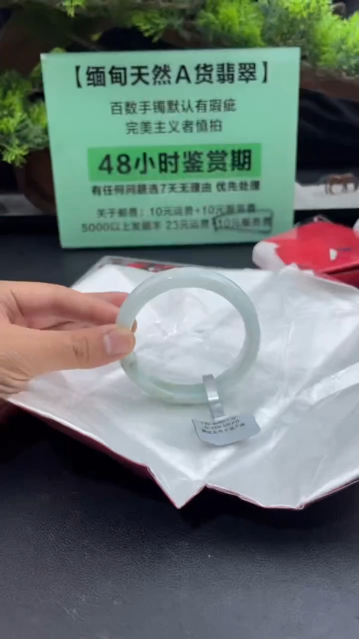 【闪购商品】翡翠手镯未镶嵌19翡翠手镯（微瑕）