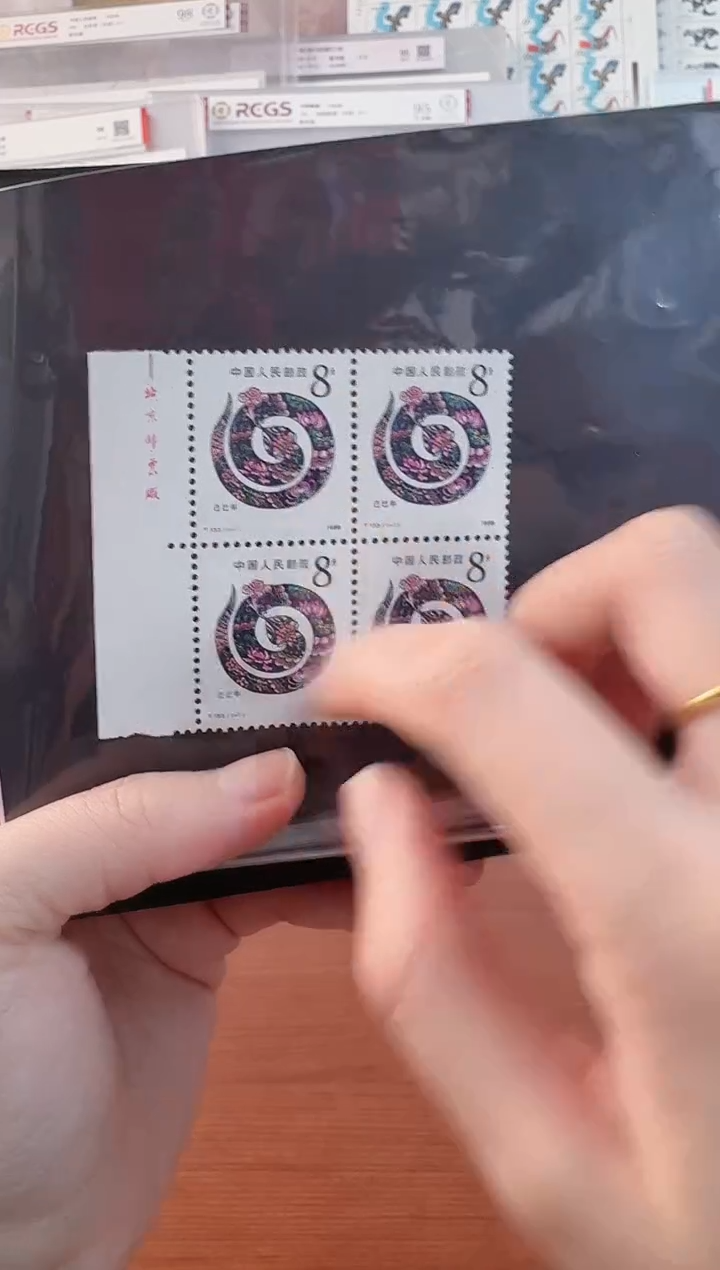 一轮生肖蛇四方联