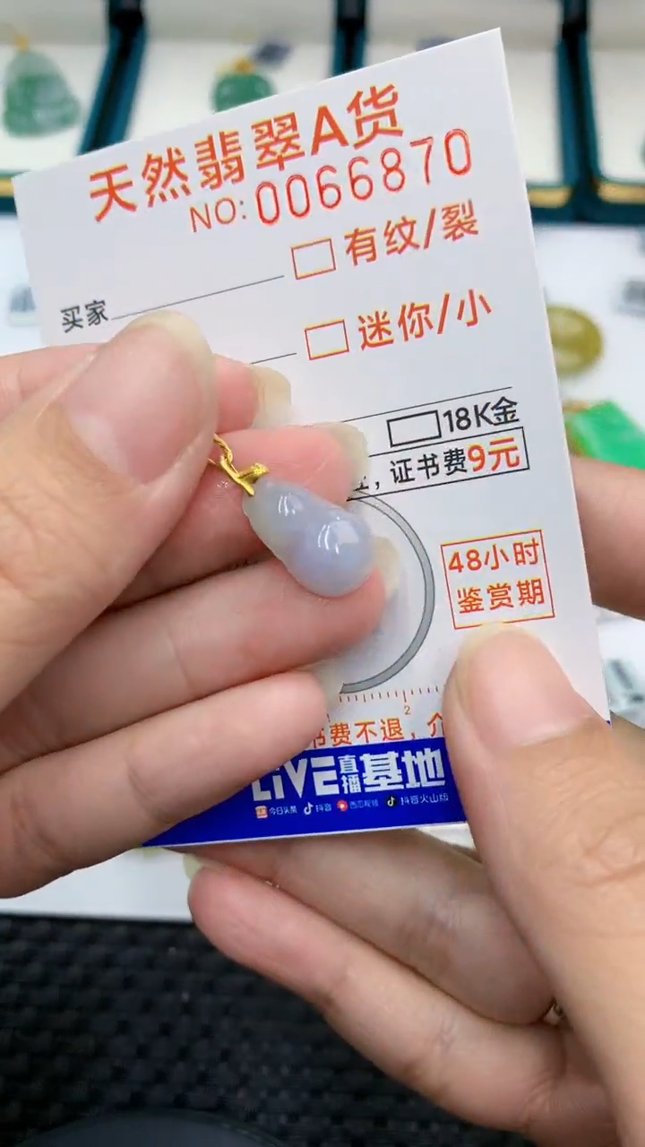 【闪购商品】翡翠颈饰18K金镶嵌            8