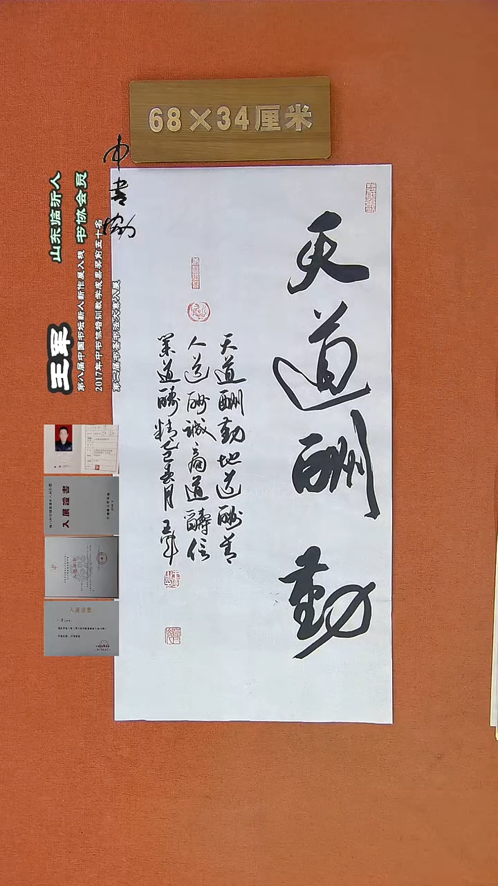 【闪购商品】书法877a王军书法作品