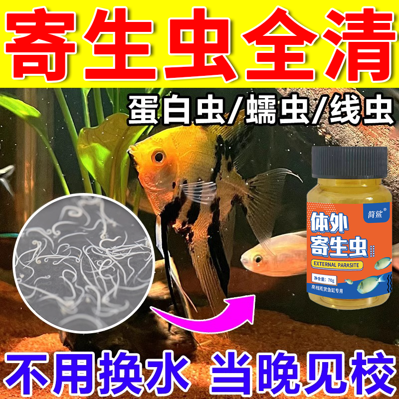 观赏鱼除寄生虫蛋白虫鱼虱鱼虫清蹭缸锦鲤金鱼缸除虫专用寄生虫粉