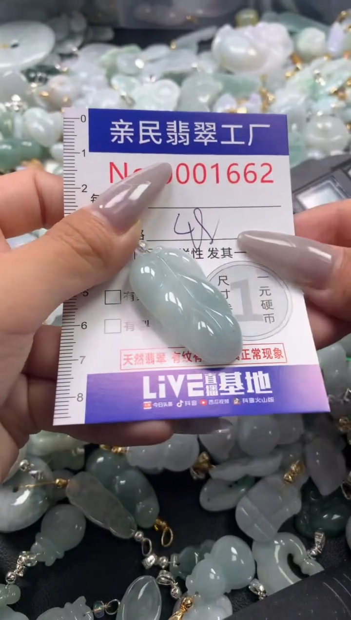 颈饰未镶嵌翡翠1662