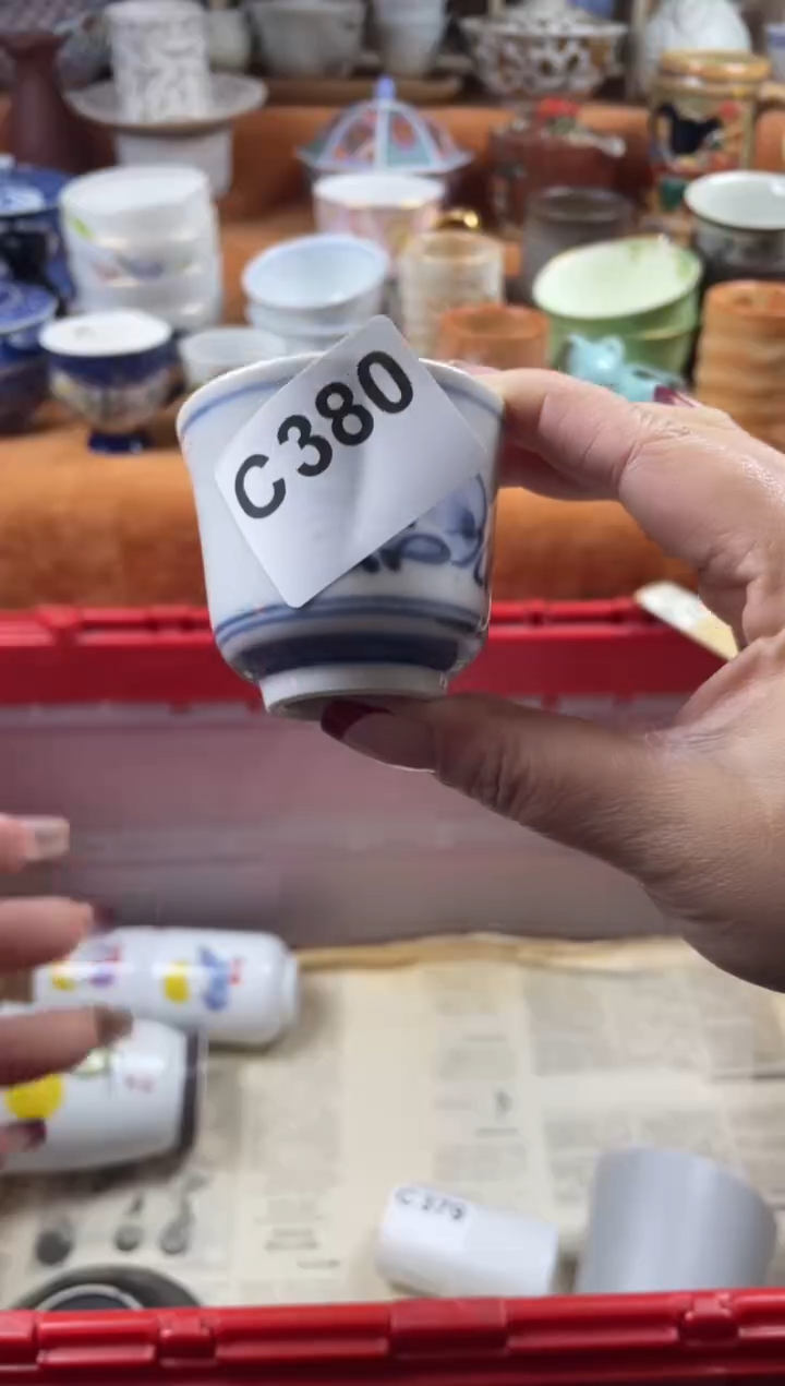 【闪购商品】C380             