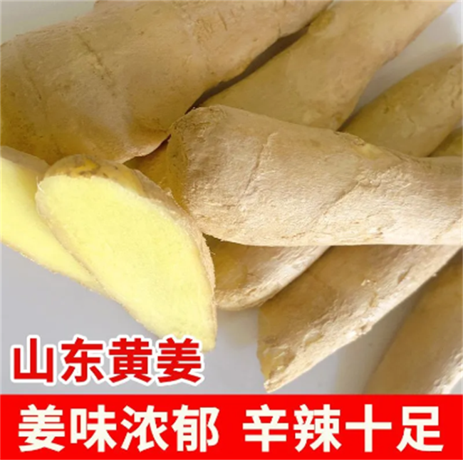 山东特产大黄姜老姜辛辣味浓月子姜提味佳品水洗风干