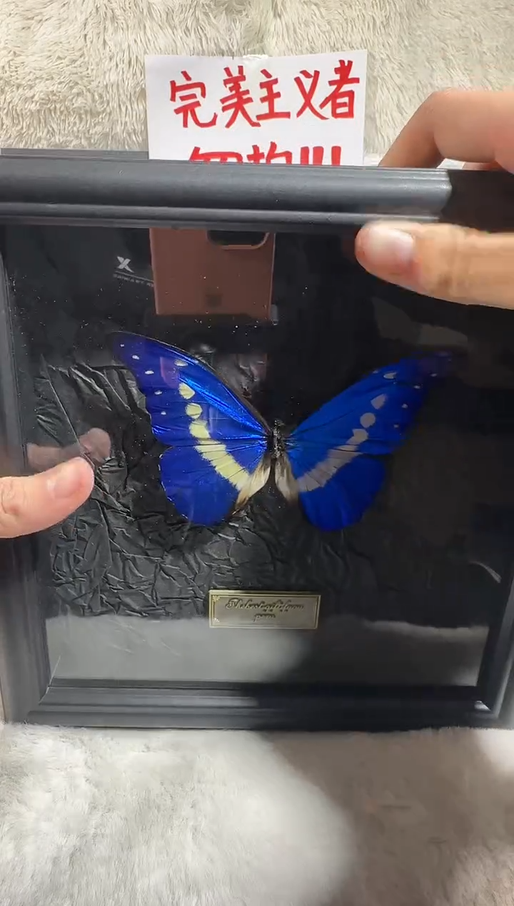 木光明女神正10寸相框