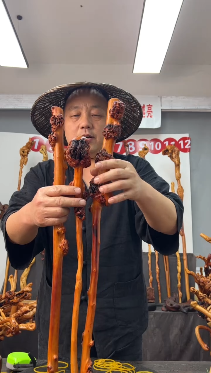 黑果木其他黑果木779