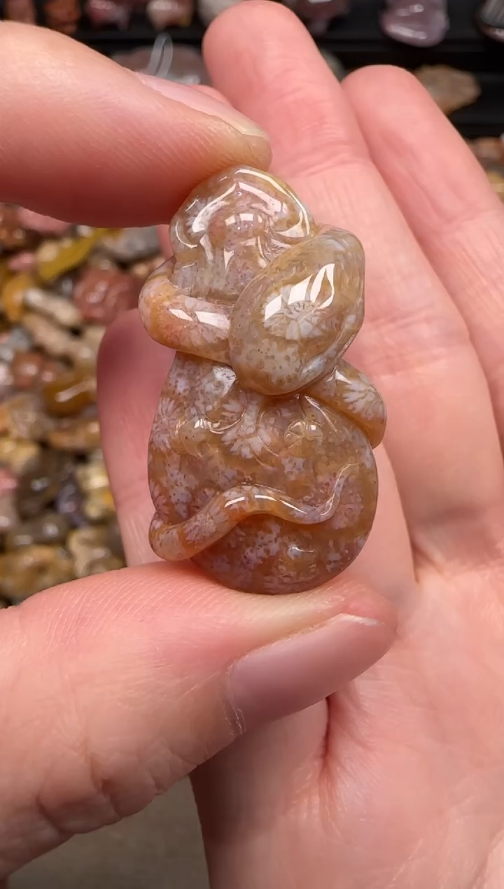 硅化珊瑚（珊瑚玉）未镶嵌颈饰172