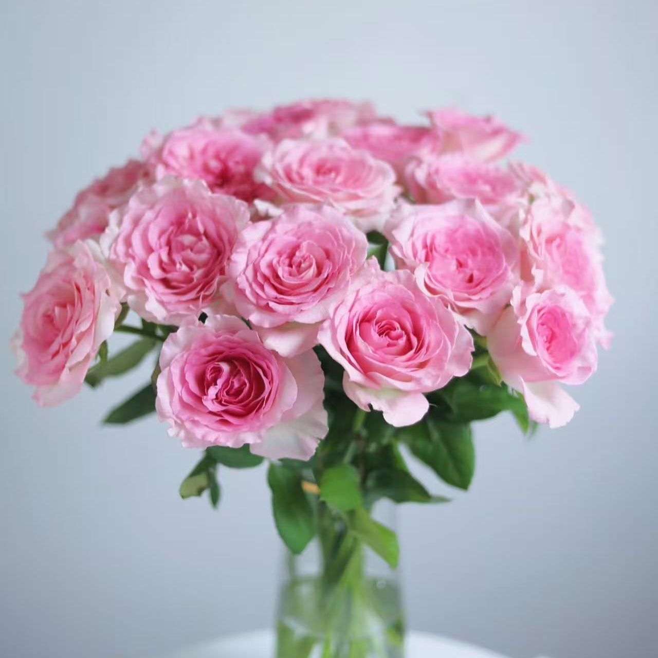 【洛神花魁玫瑰10支】云南鲜花基地直发香味鲜切花任意拍两单送配草