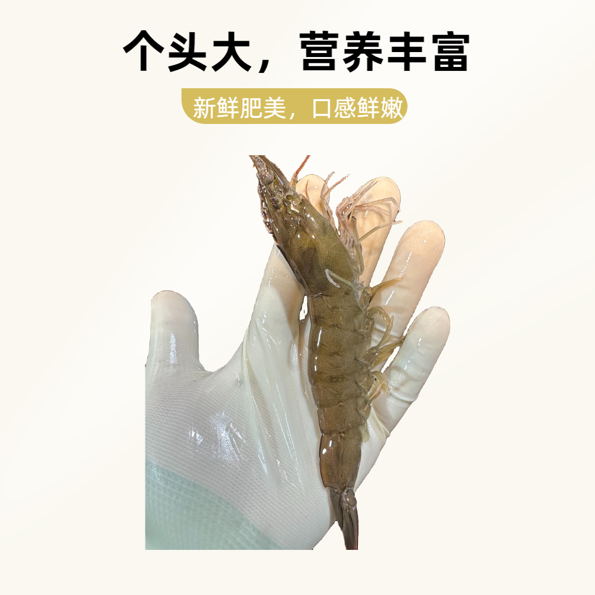 盐场边塘虾10-14个一斤