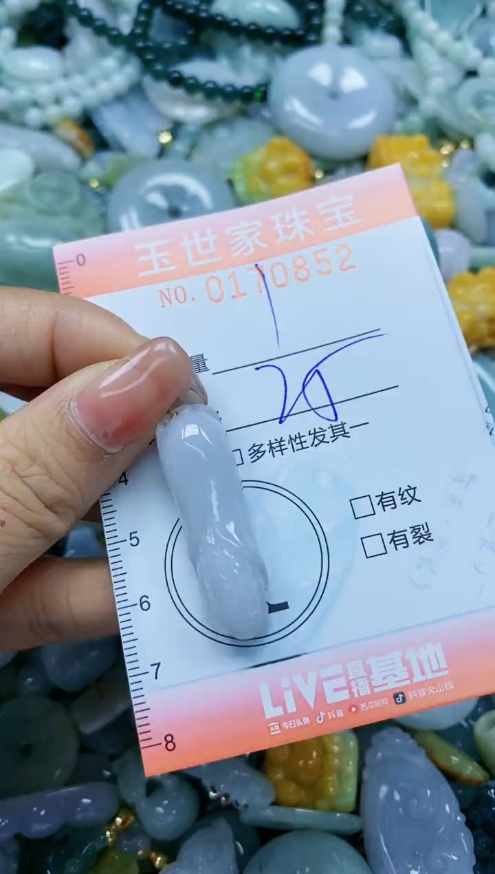 【闪购商品】翡翠颈饰未镶嵌闪购0170852