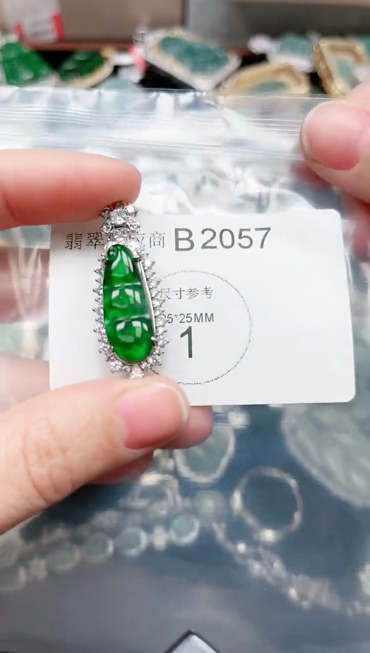 【闪购商品】翡翠颈饰未镶嵌2057赠皮绳