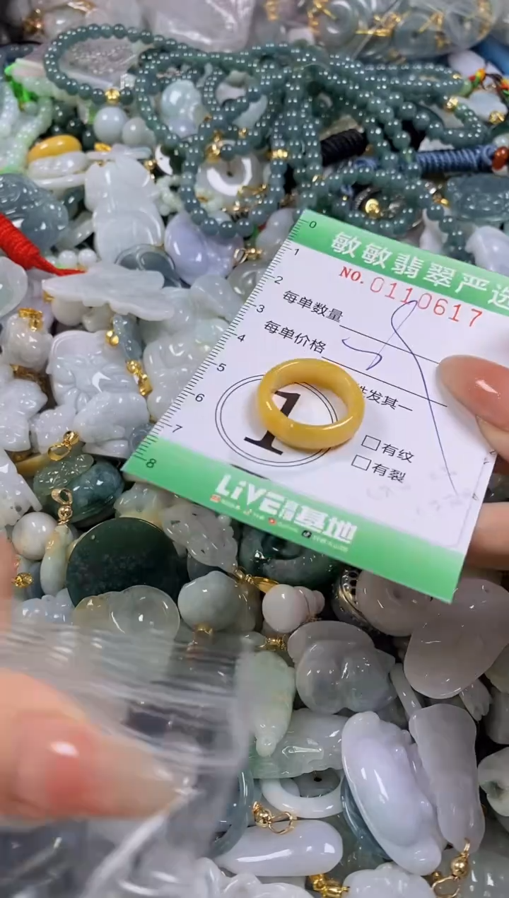 【闪购商品】翡翠颈饰未镶嵌闪购0110617