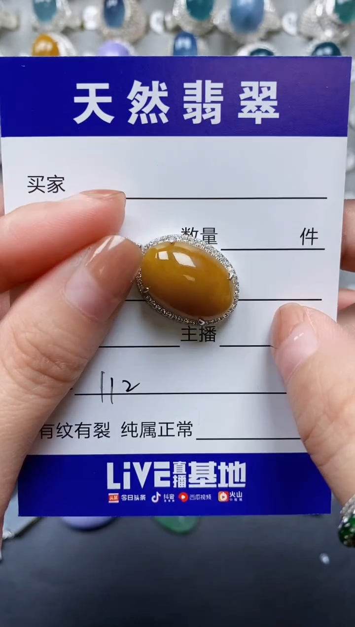 【闪购商品】翡翠颈饰银S925镶嵌0112