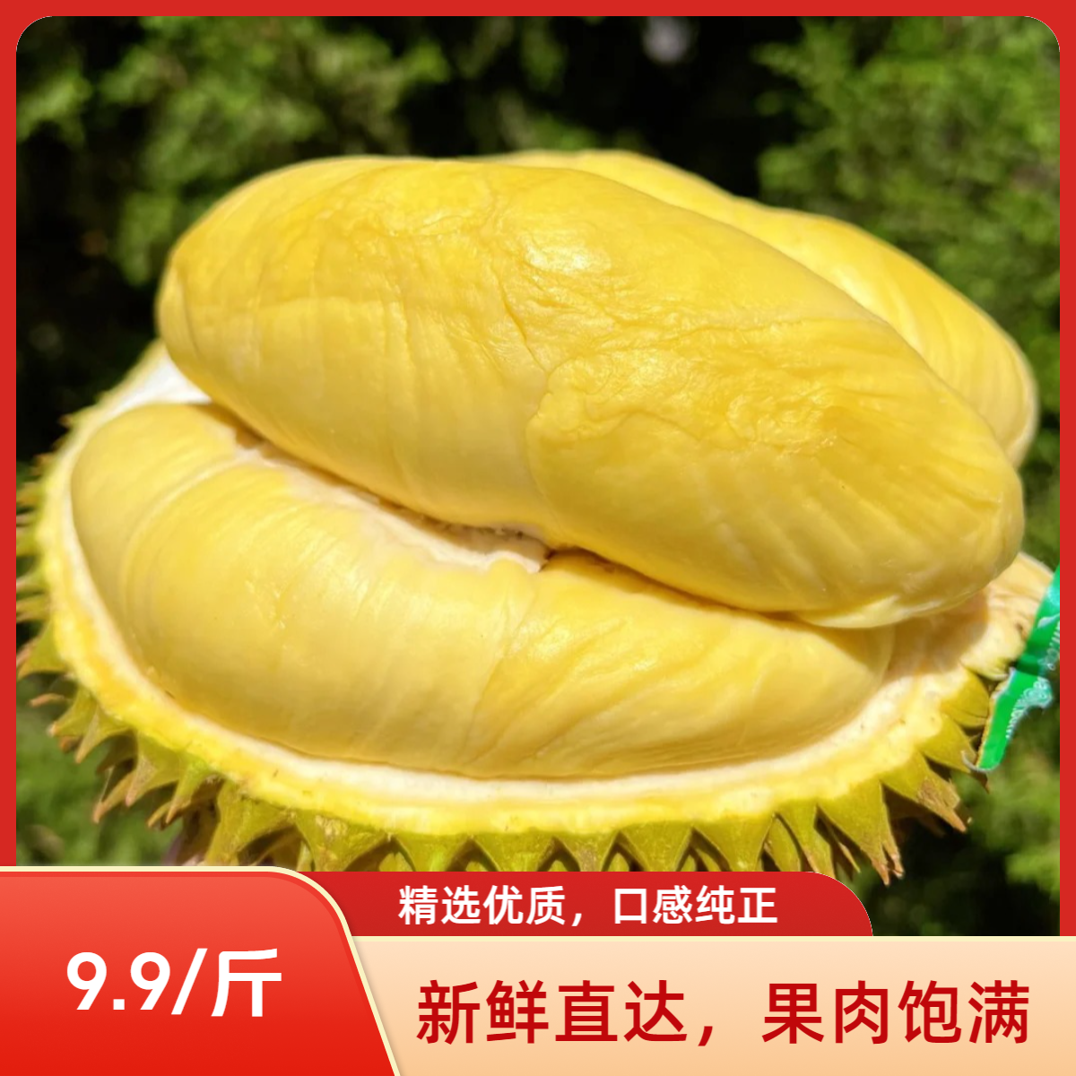 整果88元一个【双A榴莲干包品质】【湖州长兴同城】树熟榴莲核小肉厚新鲜榴莲一果一重干尧越南