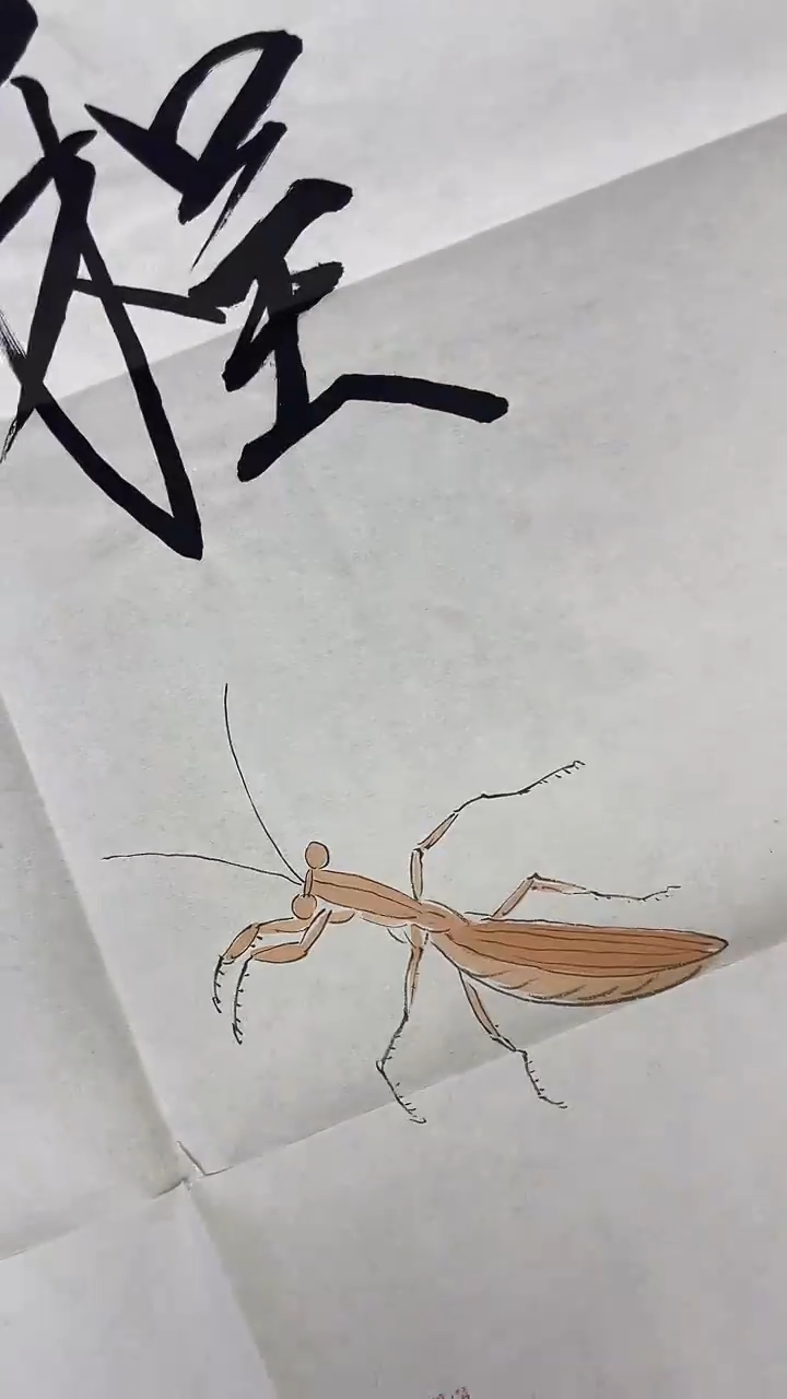 书法绘画书法绘画