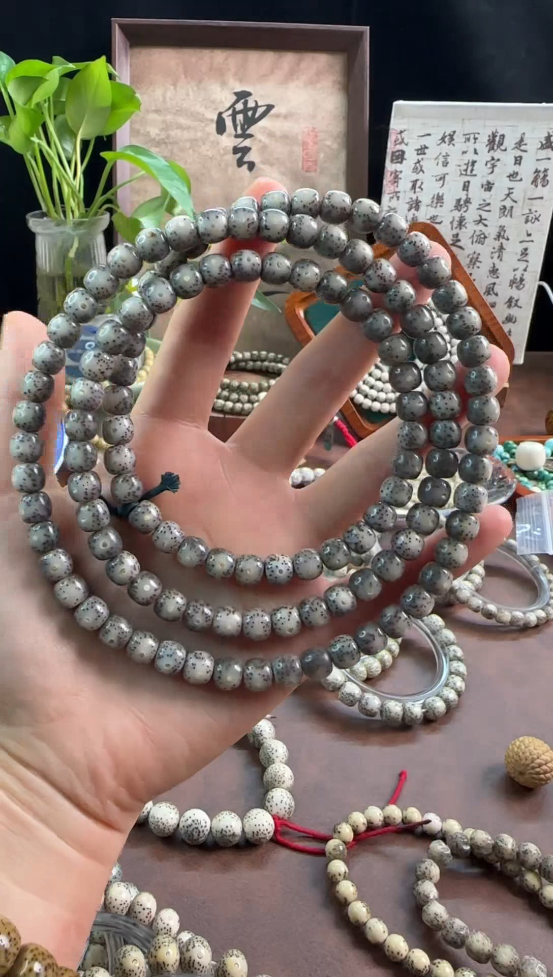 【闪购商品】星月菩提手串8果冻料108